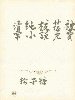 清纯校花被擒日常小说免费阅读全文