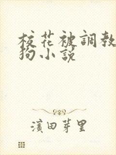 校花被调教成母狗小说