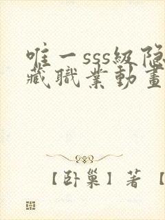 唯一sss级隐藏职业动画