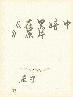 《在黑暗中堕落》原片封面