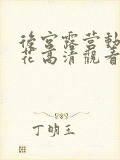 后宫露营动漫樱花高清观看