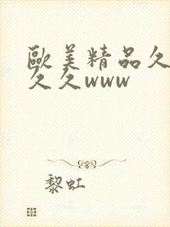 欧美精品久久久久久www