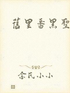 旧里番黑圣经封面