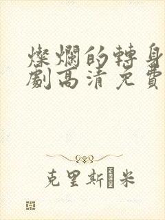 灿烂的转身电视剧高清免费观看