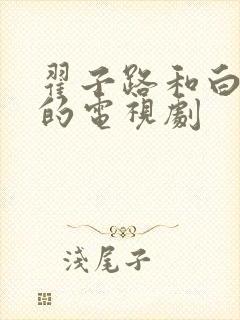 翟子路和白鹿演的电视剧