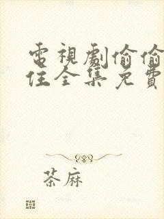 电视剧偷偷藏不住全集免费看