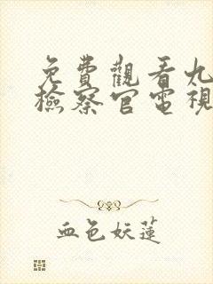 免费观看九部的检察官电视剧