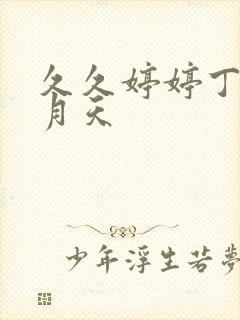 久久婷婷丁香六月天