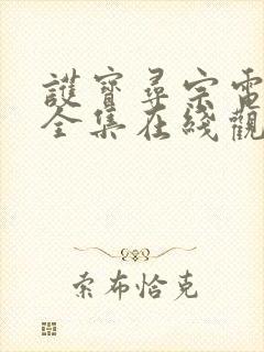 护宝寻宗电视剧全集在线观看免费播放