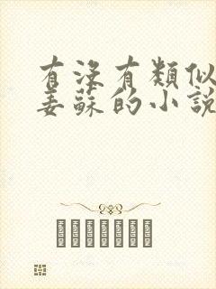 有没有类似神婆姜苏的小说