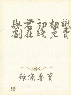 与君初相识电视剧在线免费观看全集