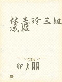 林志玲三级无删减版