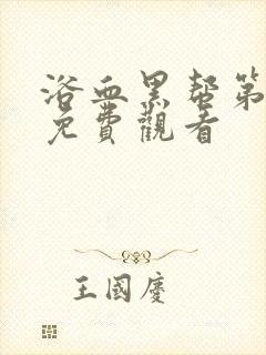 浴血黑帮第五季免费观看