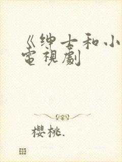 《绅士和小姐》电视剧