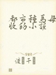 都市种马母女双收的小说