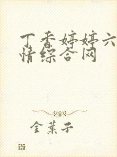 丁香婷婷六月激情综合网