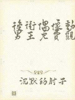 后街偶像动漫双男主免费观看动漫