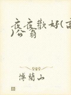 夜夜欢好(高h)公翁封面