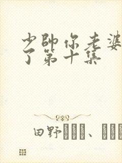 少帅你老婆又跑了第十集