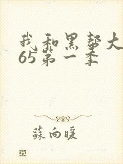 我和黑帮大佬365第一季