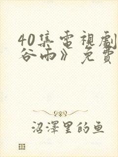 40集电视剧《谷雨》免费观看