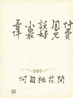 看小说用什么软件最好免费版