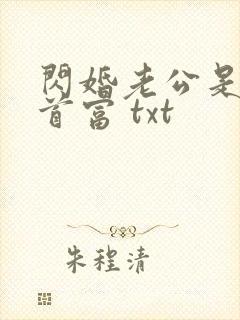 闪婚老公是千亿首富 txt