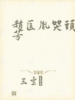 赵匡胤哭头朱坤芳