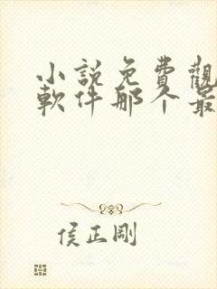 小说免费观看的软件那个最好用封面