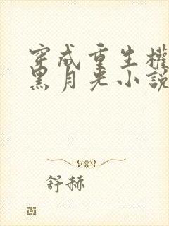 穿成重生权臣的黑月光小说