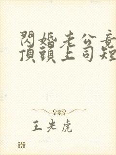 闪婚老公竟是我顶头上司短剧封面