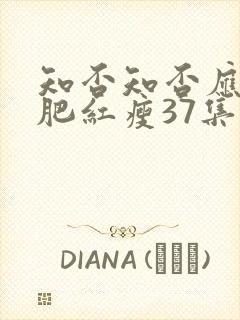 知否知否应是绿肥红瘦37集