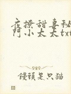 夜撩甜妻秘爱豪门小太太txt