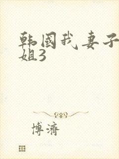 韩国我妻子的姐姐3