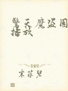 惊天魔盗团2 播放