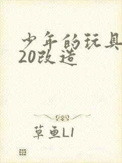 少年的玩具1一20改造