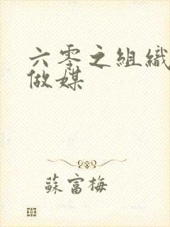 六零之组织给我做媒