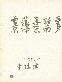 雪落再说爱你周京泽宋南夕免费阅读封面