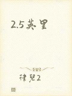 2.5英里封面