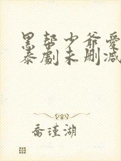 黑帮少爷爱上我泰剧未删减版