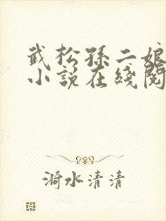 武松孙二娘云雨小说在线阅读封面