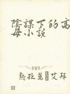 阴谋下的高官美母小说封面