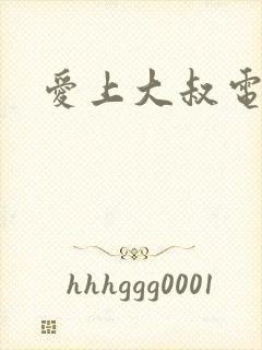 爱上大叔电影封面