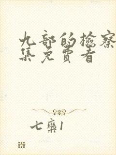 九部的检察官全集免费看