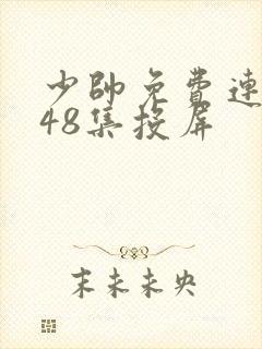 少帅免费连续剧48集投屏