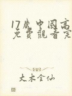 17岁中国高清免费观看完整版动漫