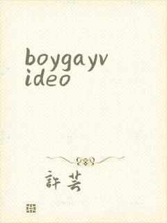 boygayvideo