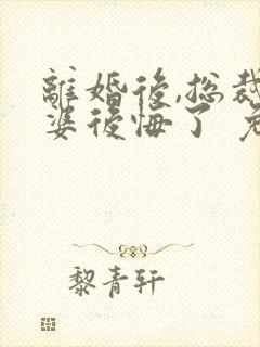 离婚后,总裁老婆后悔了 免费阅读