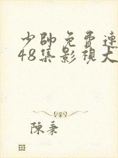 少帅免费连续剧48集影视大全