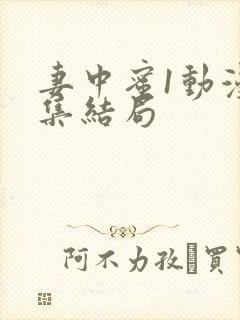 妻中蜜1动漫全集结局
